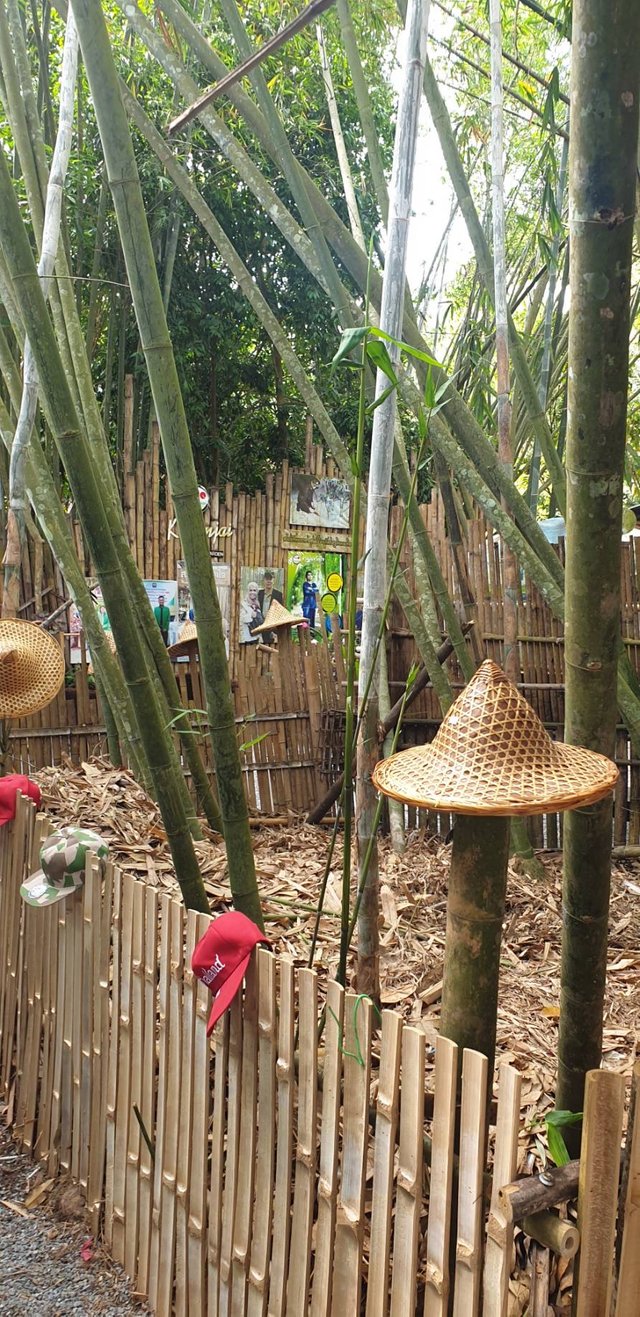 Kwanjai Bamboo Garden3.jpg