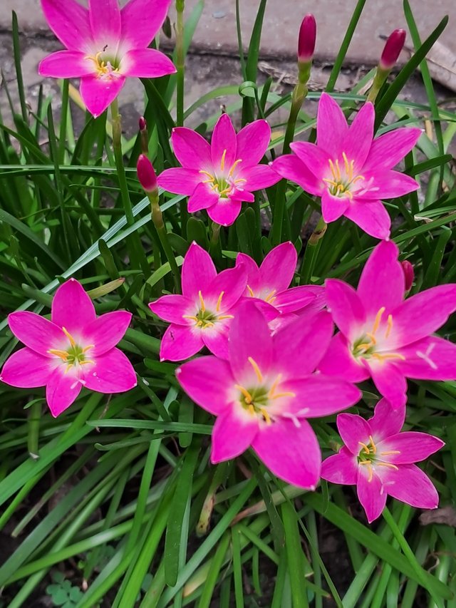 20220908_113414.jpg