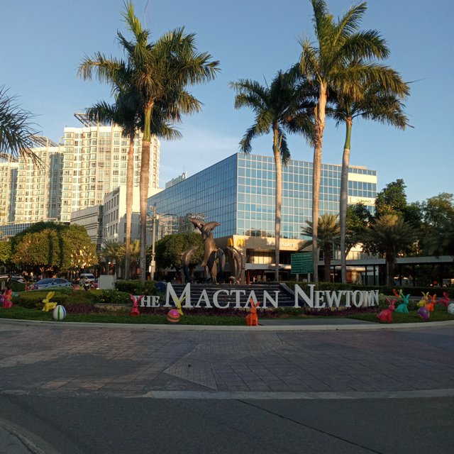 20250424_172602.jpg