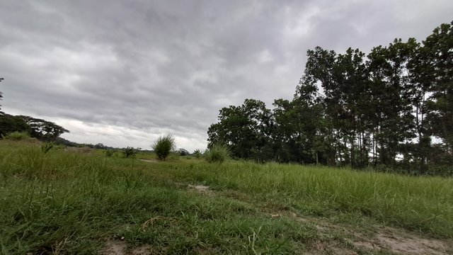 20240526_175605.jpg
