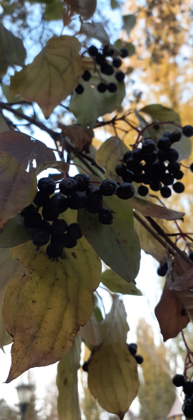 20211018_170534.jpg