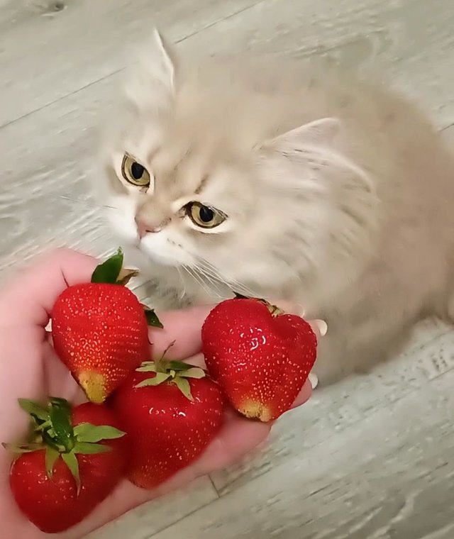 1000001207.jpg