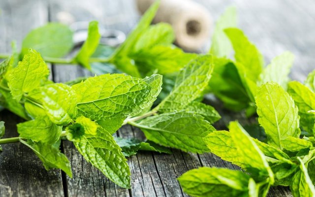 mint-on-a-wooden-table.jpg