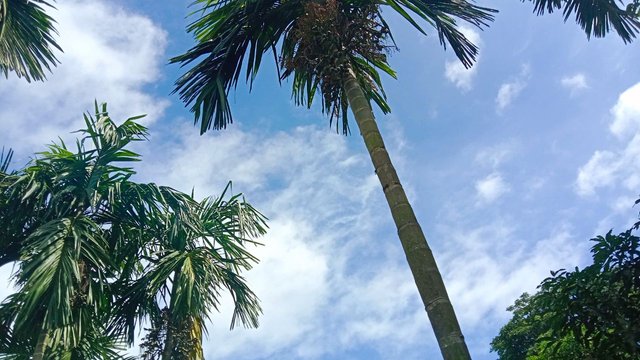 IMG_20250819_072705_402.jpg