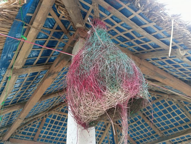 IMG20250725161340.jpg