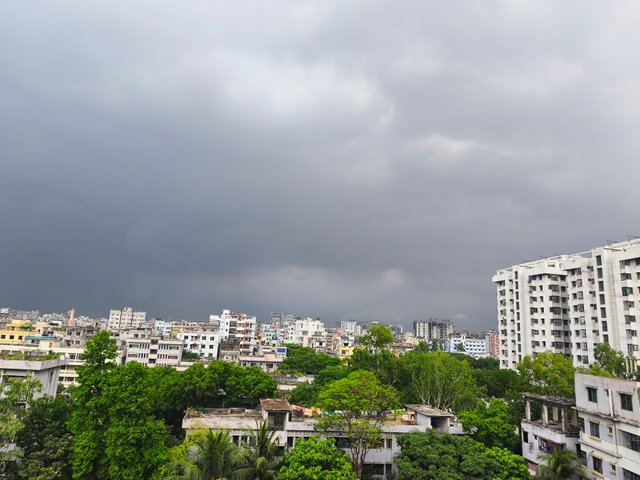 IMG_20250417_112305.jpg