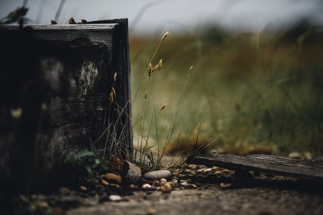 Alexander Andrews, Dungeness, United Kingdom.jpg