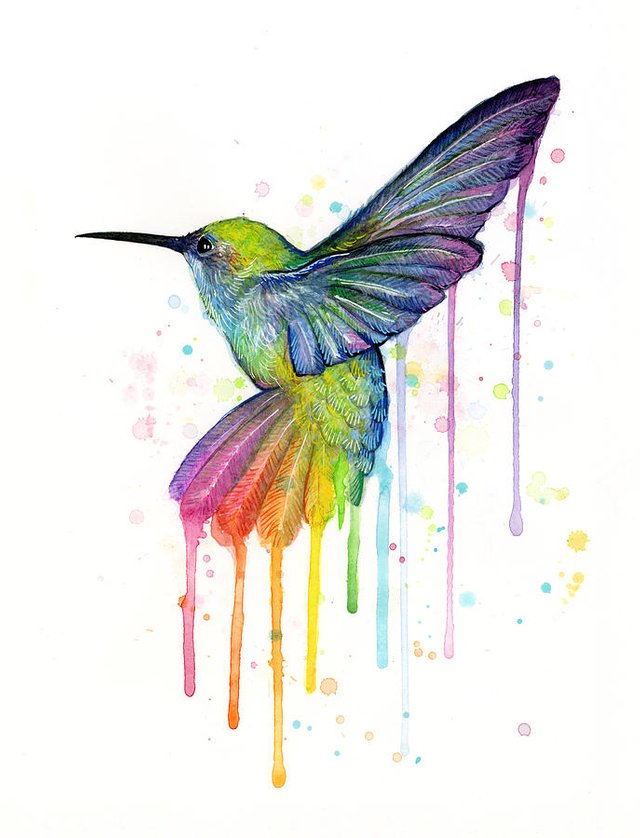hummingbird-of-watercolor-rainbow-olga-shvartsur.jpg
