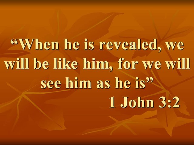 The promise of eternal life. When he is revealed, we will be like him, for we will see him as he is. 1 John 3,2.jpg