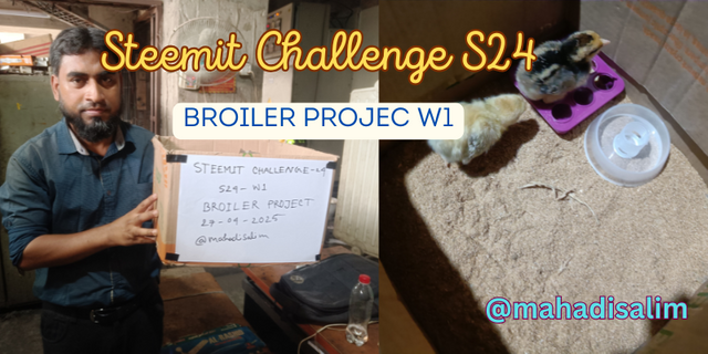 Steemit Challenge S24.png