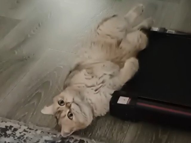1000000744.jpg