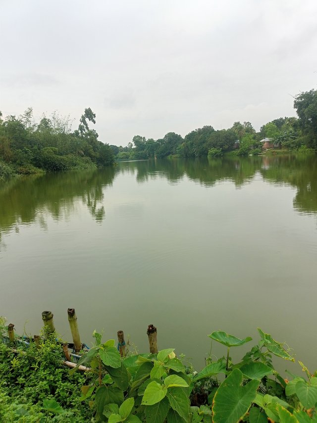 IMG20250914165854.jpg