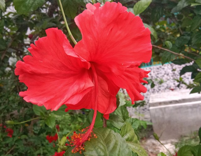 IMG_20250605_201910.jpg