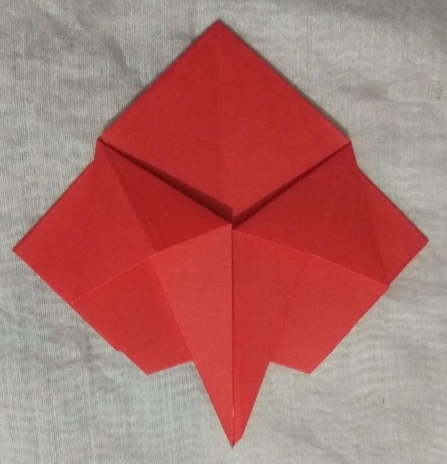 o15.jpg