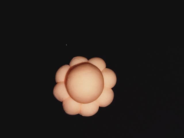 IMG20240511191242.jpg