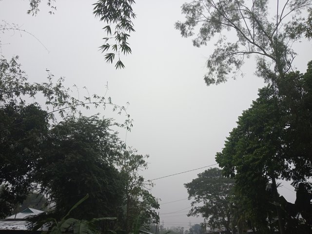IMG_20231210_075214_307.jpg