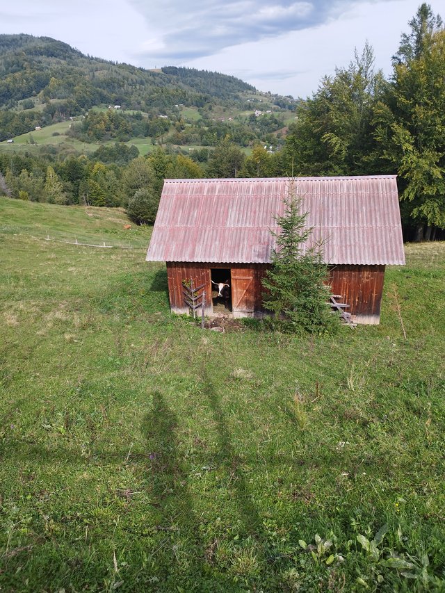 IMG_20250914_110045.jpg