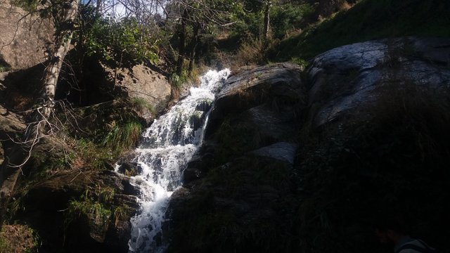 20190305_124624.jpg