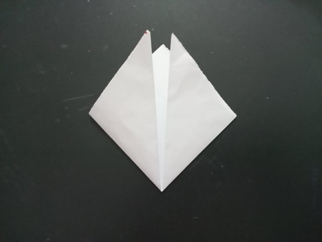 1000028035.jpg