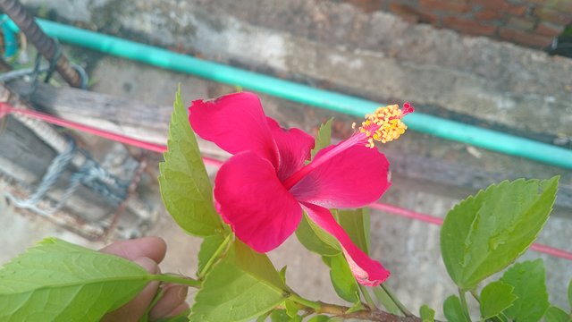 20250820_073255.jpg