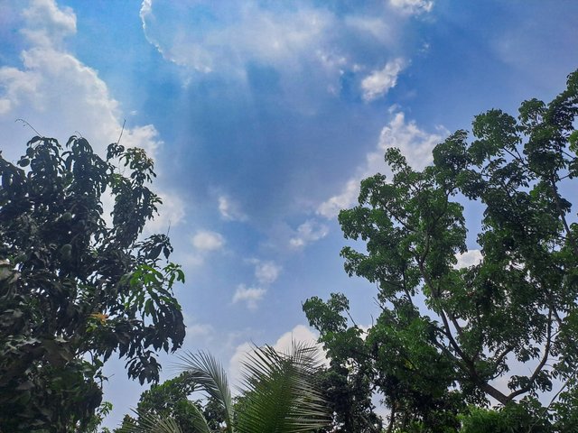 20250503_124330.jpg