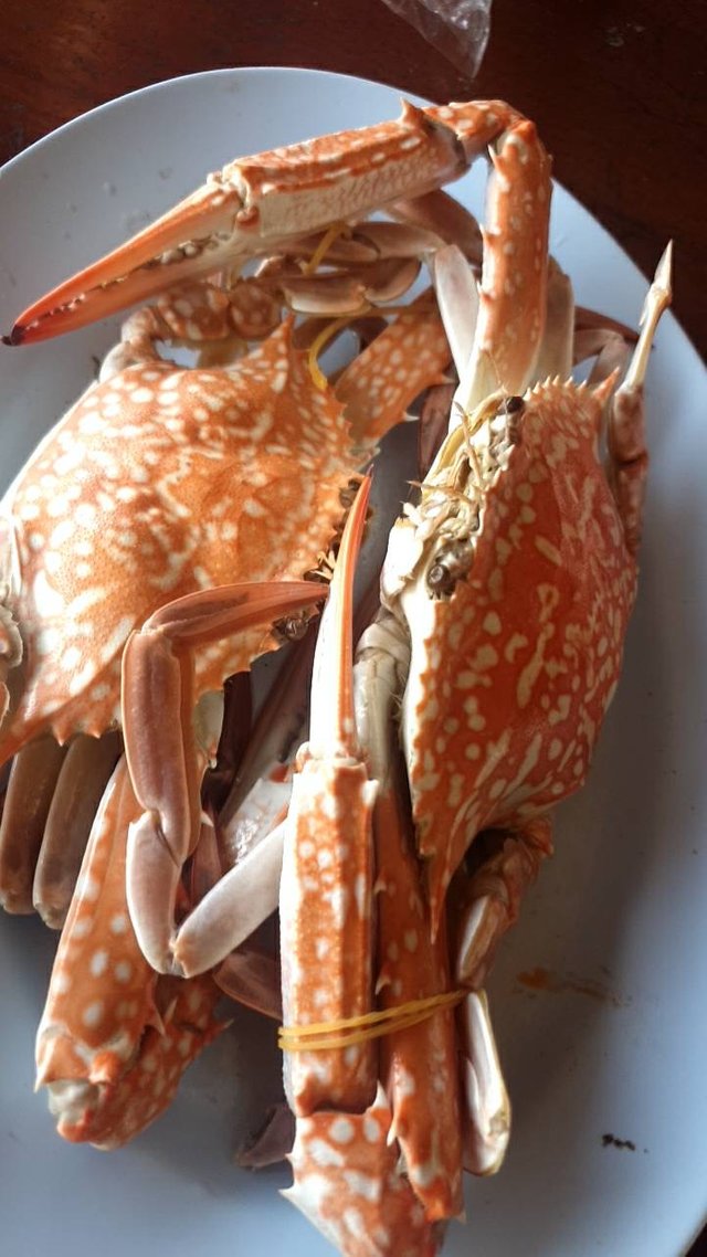 Kiang Lay Seafood2.jpg