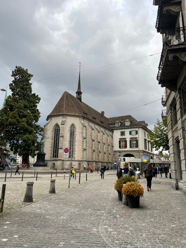 IMG_8950.jpeg