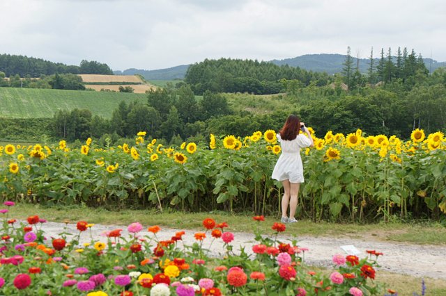 Japan-Hokkaido12802-1029.jpg