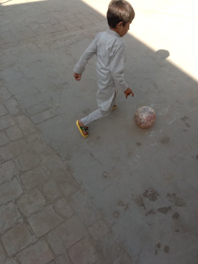 IMG_20250331_155403.jpg