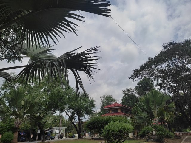 IMG_20250731_094643.jpg