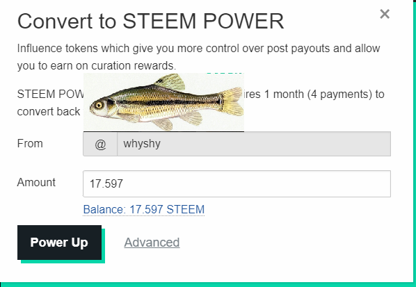 8.png