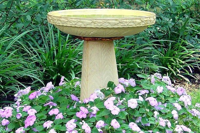 landscaping-to-attract-birds-bird-bath-landscaping-attract-birds.jpg