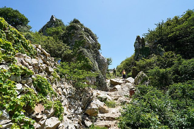b-DSC08091.JPG