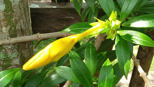IMG_20220905_110012.jpg