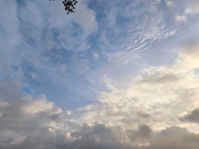 IMG_20250627_054728.jpg