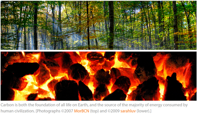 NASA Carbon Cycle.PNG