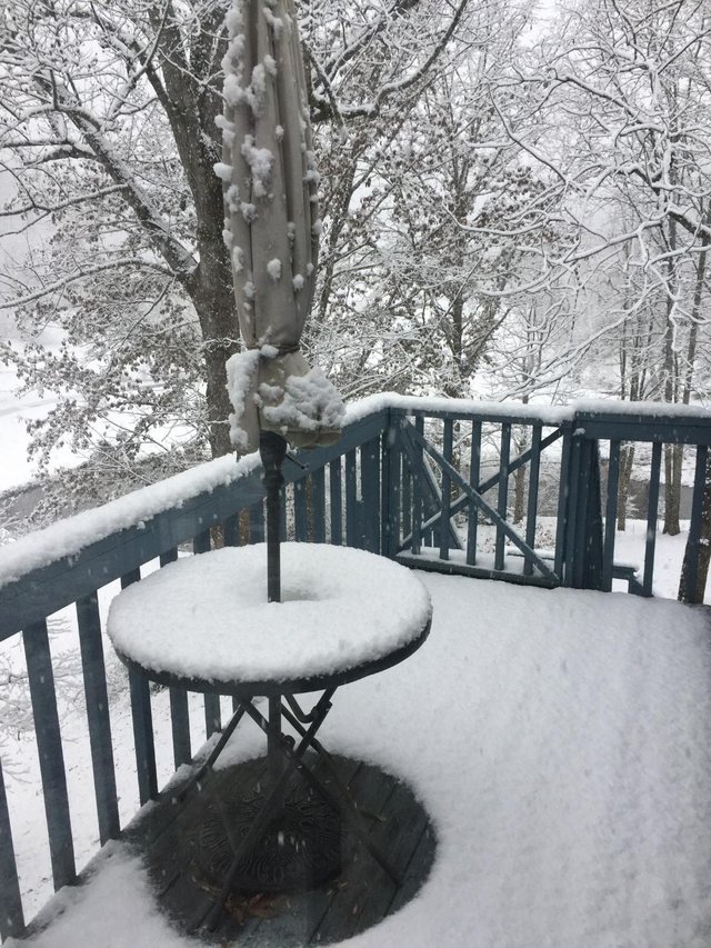 snow pic from deck.jpg