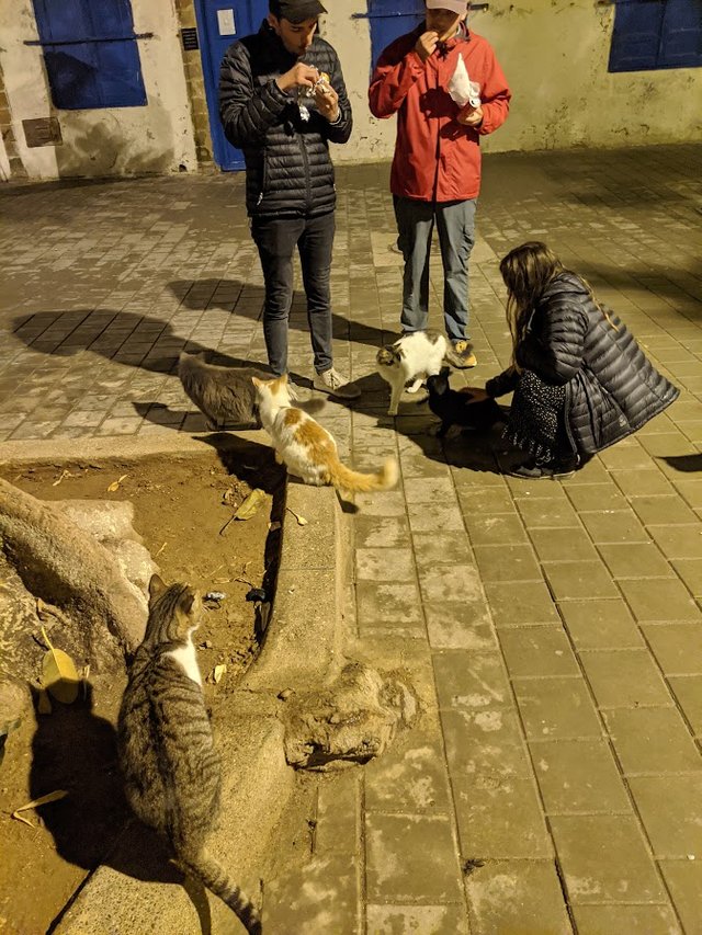 IMG_20191205_002803.jpg