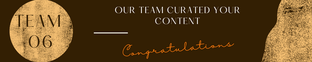 curation Banner.png