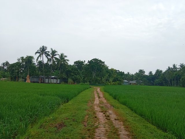 IMG_20250915_073330.jpg