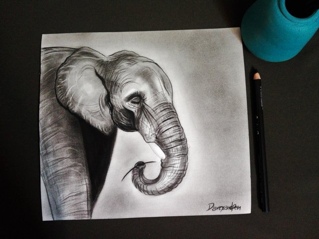 Elephant(369).jpg