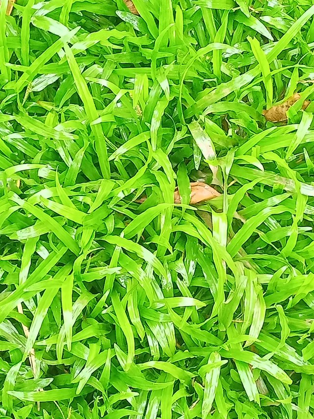 IMG20250819172405.jpg