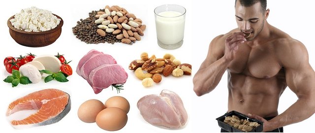 Steemjet in Health || Nutrition And Food To Build Muscle — Steemit