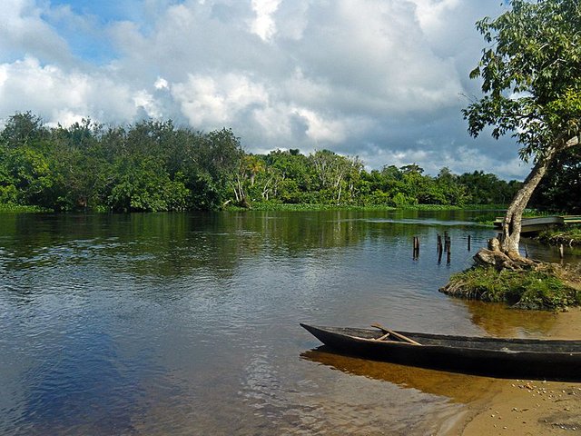 Rio_Morichal_Largo,_Estado_Monagas.jpg