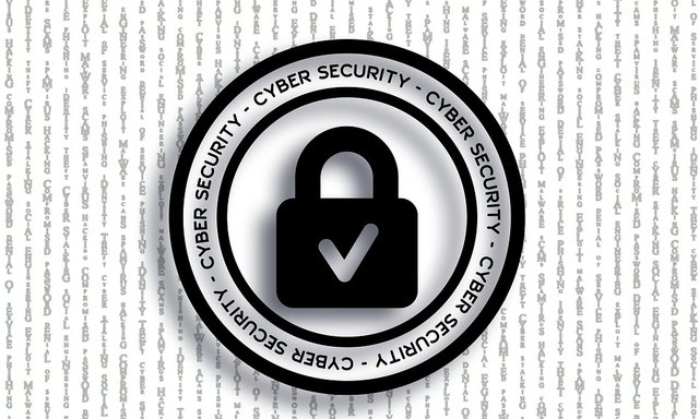 cyber-security-4498051_960_720.jpg