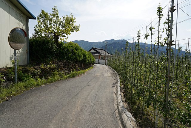 b-DSC09287.JPG