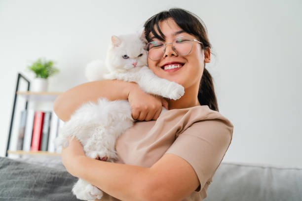 istockphoto-2152853571-612x612.jpg