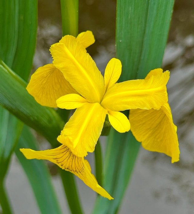 IMG_20250507_092426.jpg