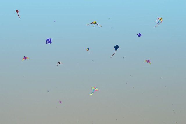 Makar-Sankranti-Celebration-in-Jaipur.jpg