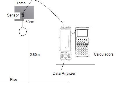 CAIDA LIBRE sensor.jpg